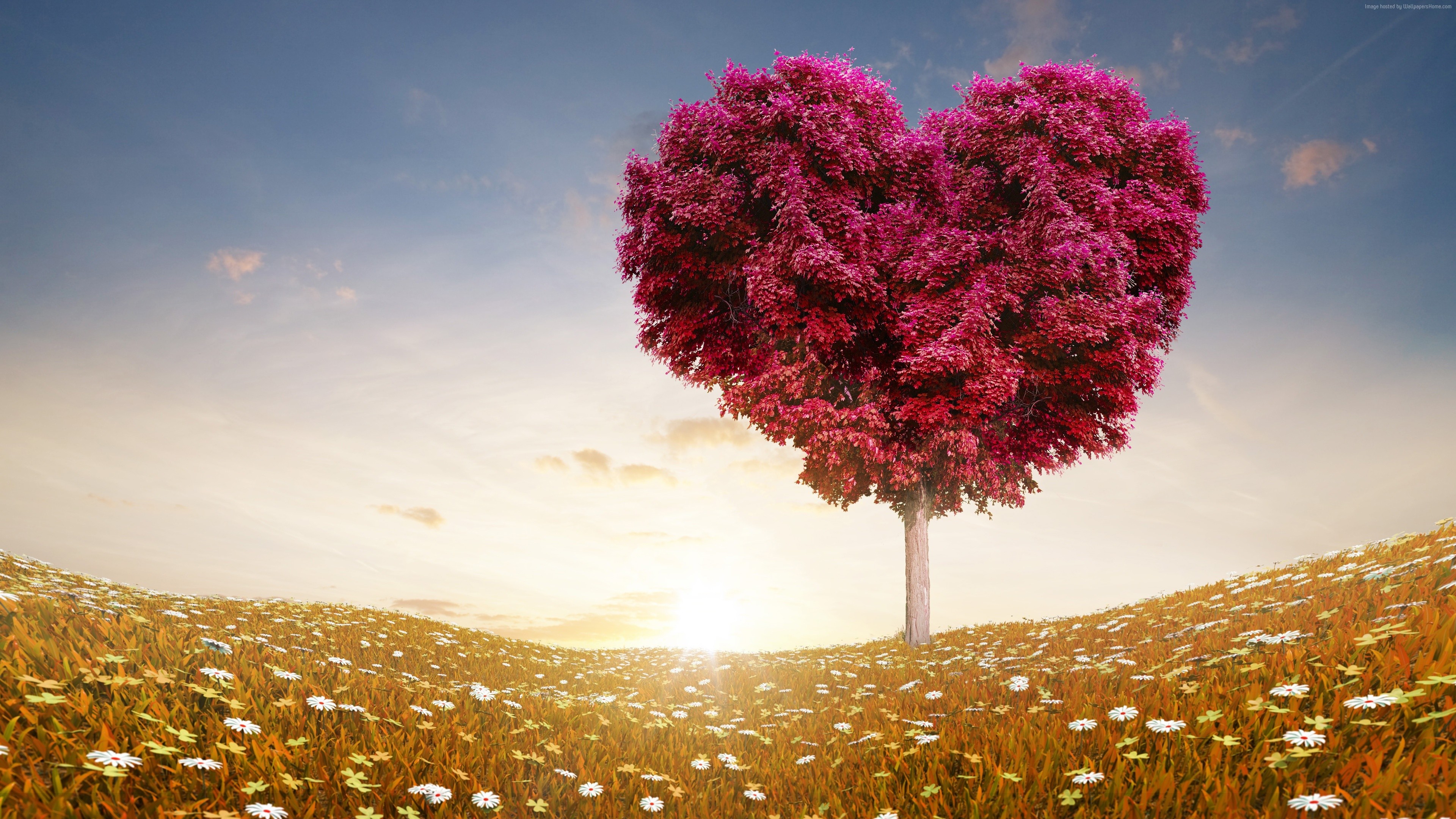 Stock Images love image, heart, 4k, tree, Stock Images